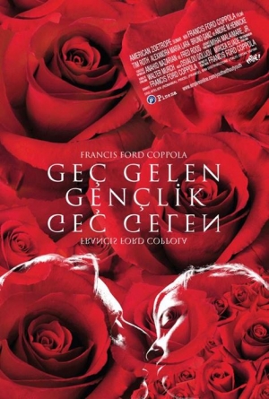 Geç gelen gençlik izle