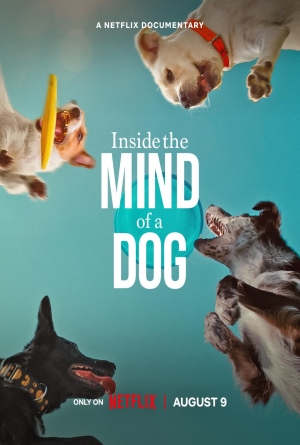 Köpeklerin Aklından Neler Geçiyor? izle