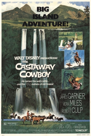 The Castaway Cowboy (1974) izle